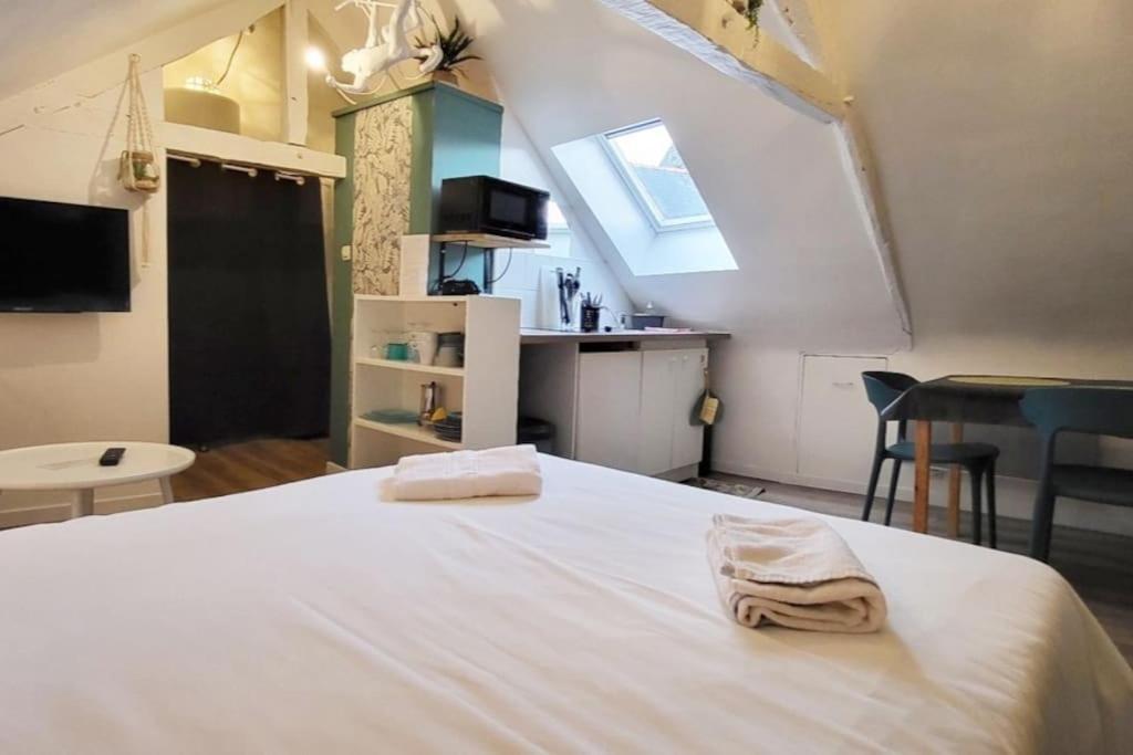 La Cabane - Petit Studio Mansarde - Plage 50M - Rue Gratuite Saint-Malo Exterior foto